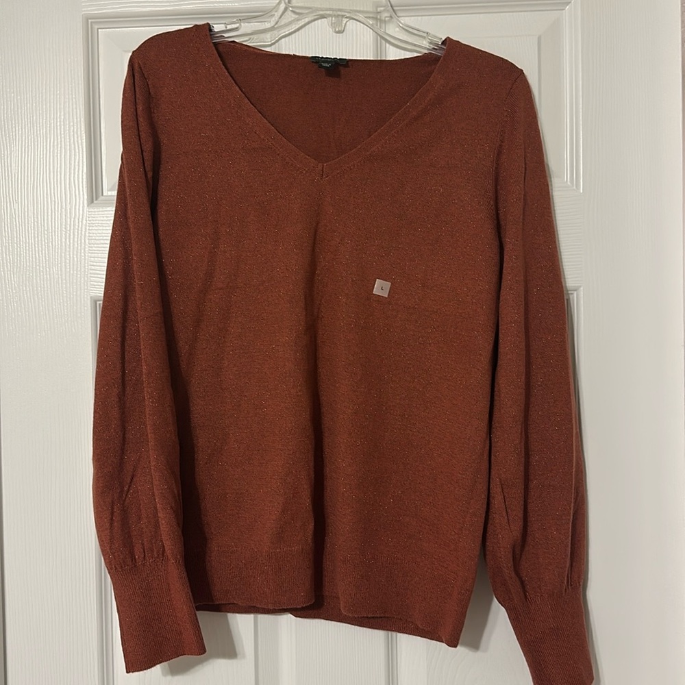 NWOT Ann Taylor Burnt Orange Shimmer Sweater Size Large Women’s